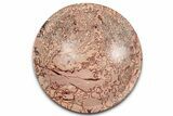Polished Saharan Desert Jasper Dish - Morocco #326936-1